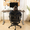 Ergonomic Chair